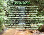 mensagens-sobre-ecologia-2