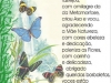 poema-borboletas-4