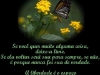 poema-borboletas-5