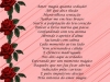 poetas-do-amor-4