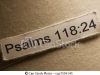 salmos-118-12