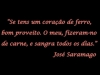 saramago-frases-12