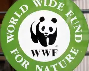 wwf-world-wide-fund-for-nature-2