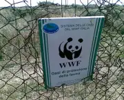 wwf-world-wide-fund-for-nature-6