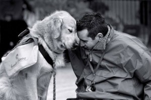 Mensagens Sobre os Cães: Melhores Amigos do Homem