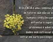 veja-frases-sobre-resiliencia-a-seguir-5