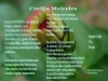 cecilia-meireles-poesias-7