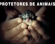 Mensagens Sobre Protetores de Animais (12).jpg