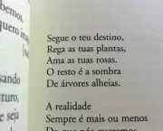 Poema Sobre o Coração - Fernando Pessoa (2)