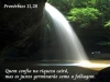 proverbios-da-biblia-2