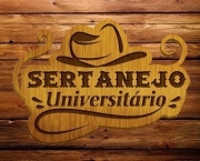 Trechos de Música Sertanejo Universitário (18)