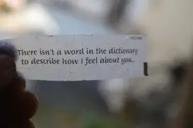Não Existe no Dicionário Palavra Que Descreve O Que Sinto Por Você